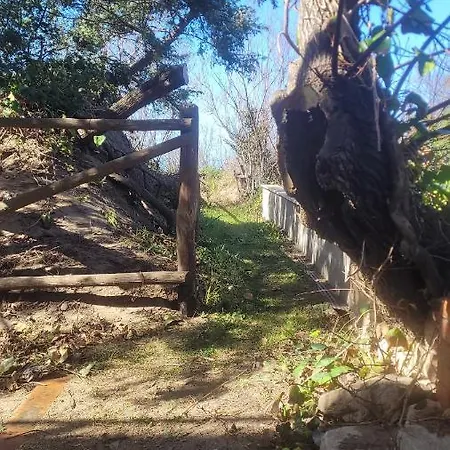 Apartamento Miledy Monolocale Direttamente Sul Mare Marina di Castagneto Carducci